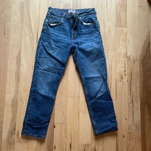 Everlane High Waist Straight leg jean